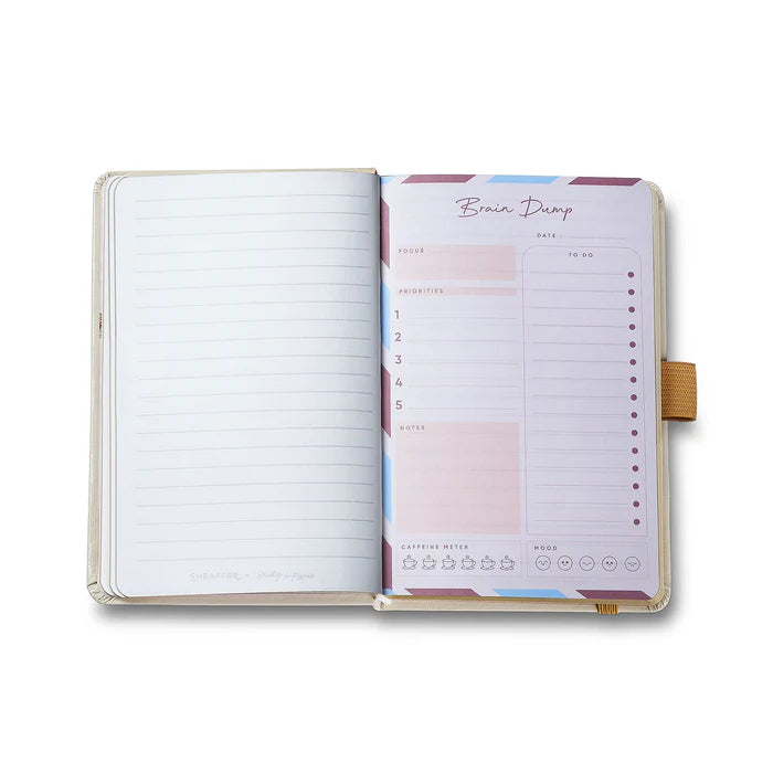 Set de Regalo Sheaffer con Emily in Paris: Bolígrafo 100 9377 Oro Champaña con Acabados a Tono y Cuaderno Pequeño de Tapa Dura